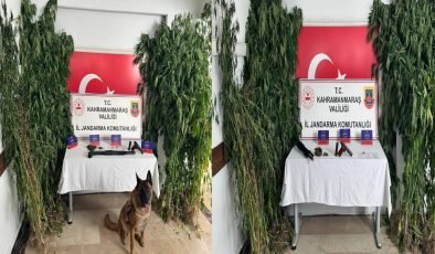 JANDARMA NARKOTİK KÖPEĞİ ULAK OPERASYONLARDA AKTİF ROL OYNUYOR