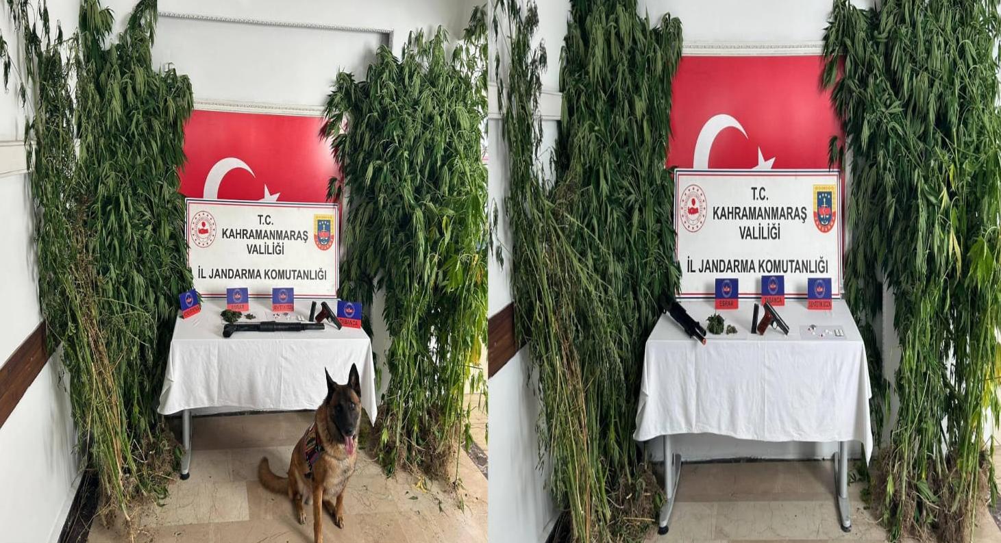 Kahramanmaraş İl Jandarma Komutanlığı Ekiplerince, Kahramanmaraş kırsalı ormanlık alan içerisinde